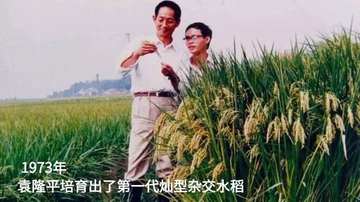 d5ed1b3593b6d529b3b41e07b12aeb1a Z6尊龙旗舰厅(中国)官方网站